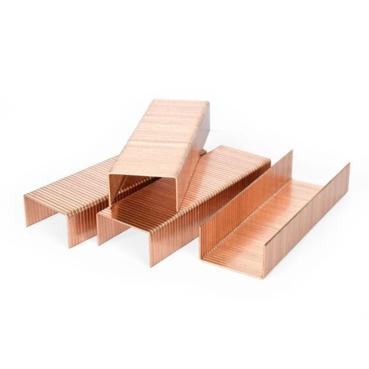 carton-closing-staples16223308056